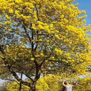 Meet your Posher, Carla